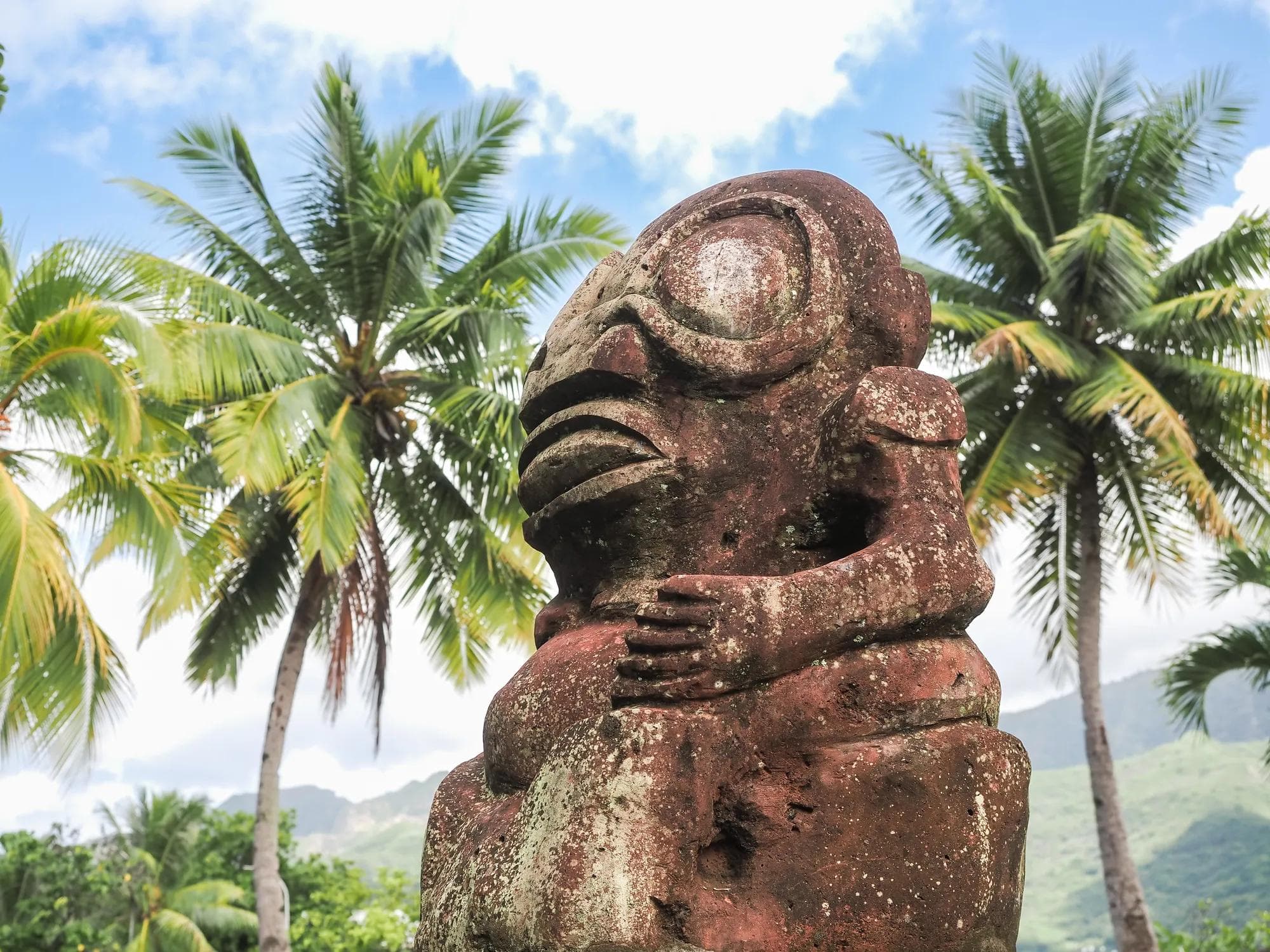 À la rencontre des Maohis