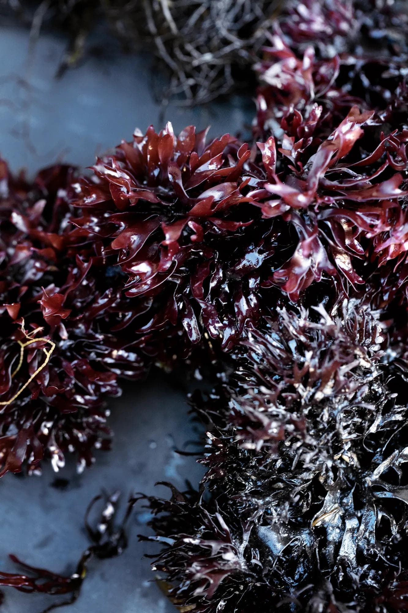 En harmonie avec le vivant