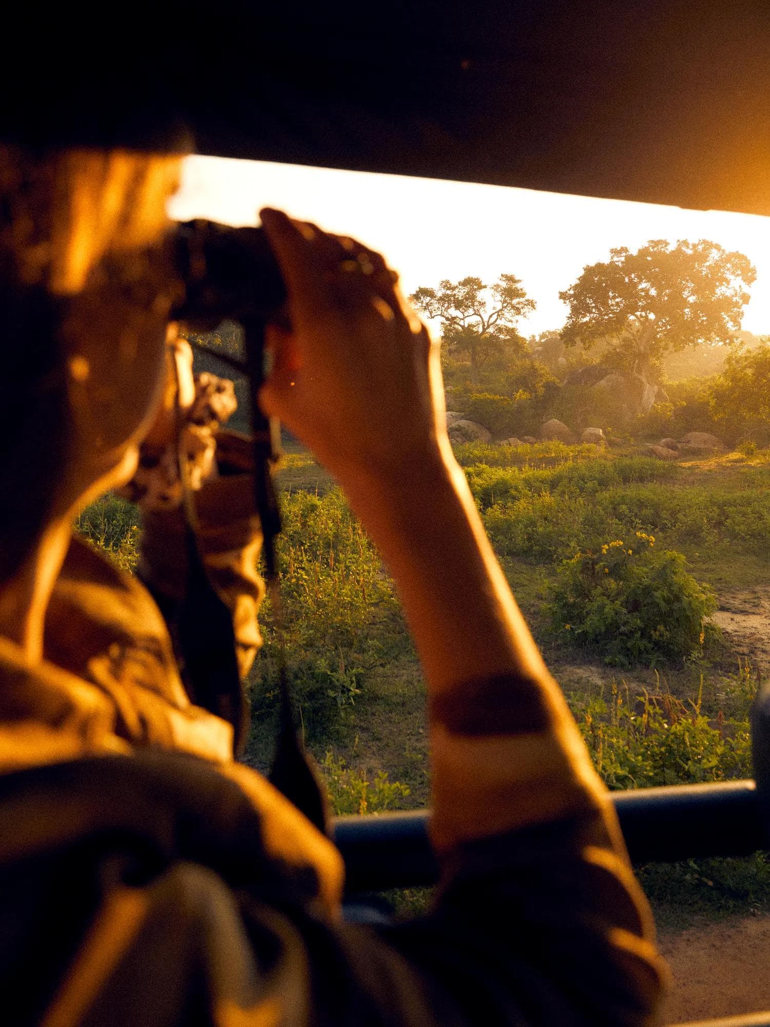 Plongez au cœur du monde sauvage
